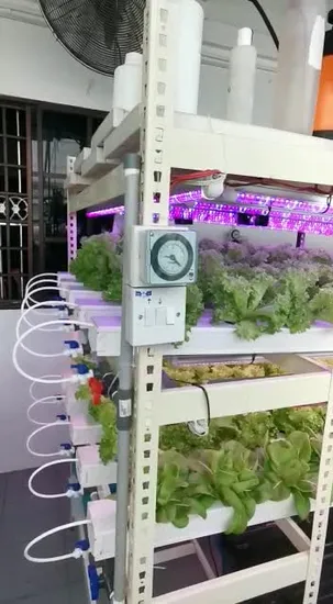 Nft Hydroponic System Complete Lights