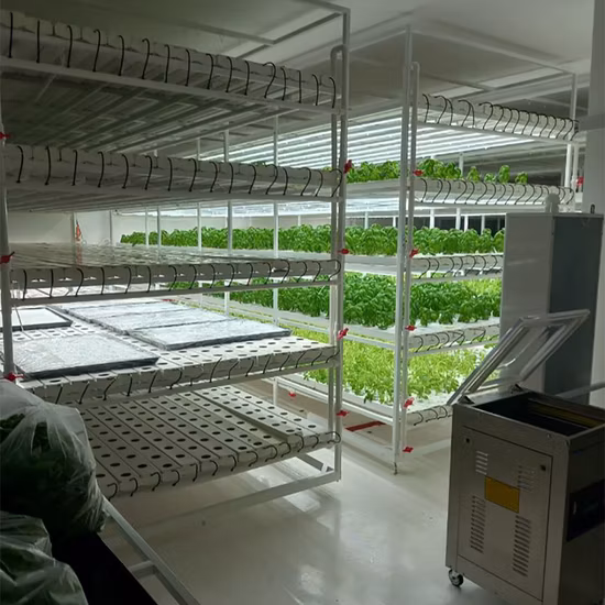 Nft Hydroponic System Complete Lights